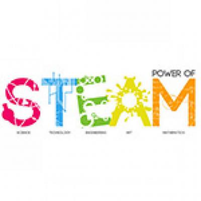 STEM Nedir?